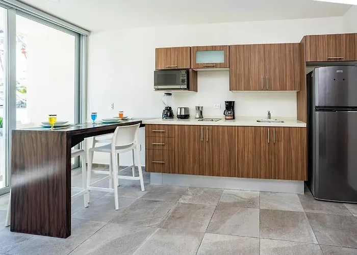 De Lujo 1 Hab. Depto. 303 Apartment *