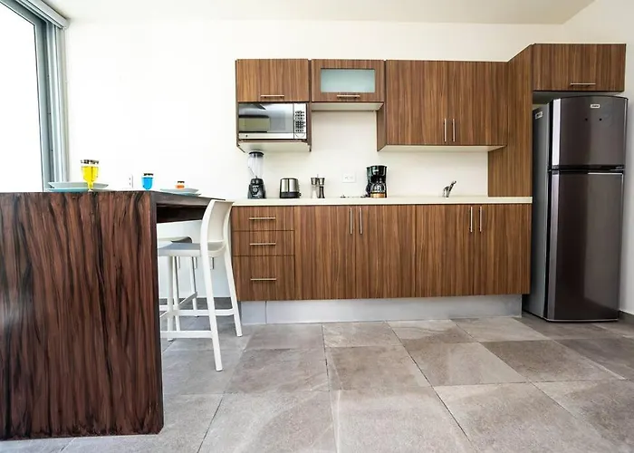 De Lujo 1 Hab. Depto. 303 Apartment *