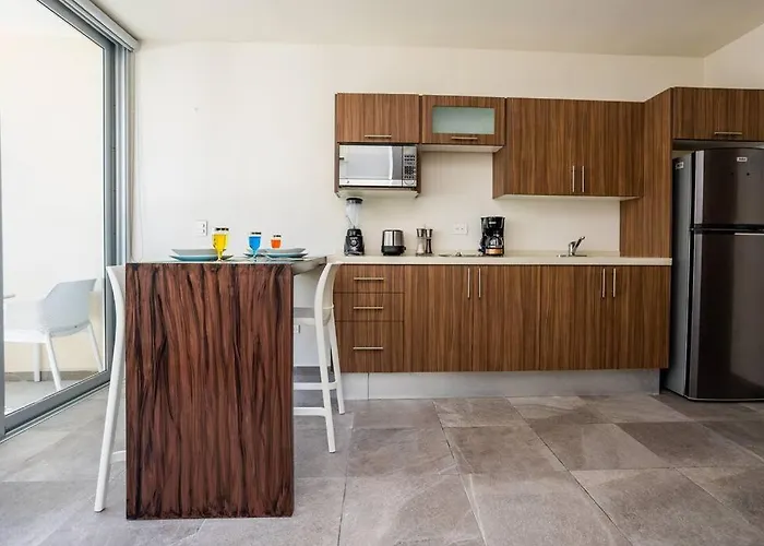 Apartment De Lujo 1 Hab. Depto. 303
