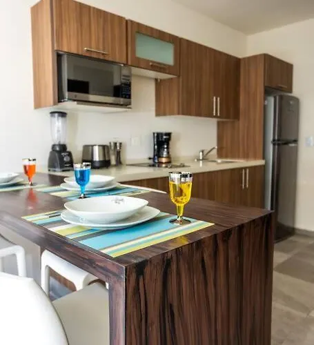 Apartment De Lujo 1 Hab. Depto. 303 *